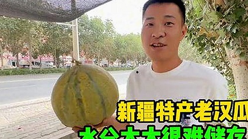 全面解析：免费91最新版下载的最新动态与应用场景