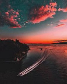 全面解析9.1免费视频免费版官方版及相关热门资源