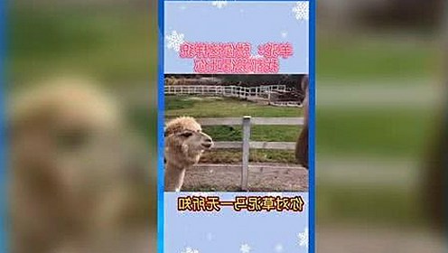 禁漫天堂下载免费版：全面解析最新版本的下载渠道与安全性