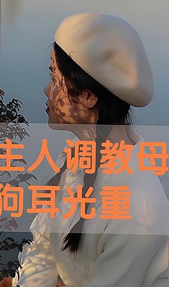 最新动态：91n免费版现已广泛应用，深受用户好评