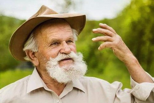 最新动态：91n免费版现已广泛应用，深受用户好评