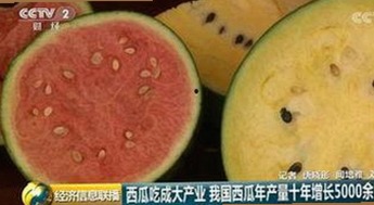 最新消息：撸撸射免费版下载带你体验全新娱乐内容