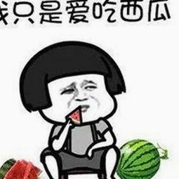 最新消息：9·1免费版官方版已正式上线，全面提升用户体验