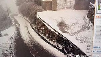 警花张津瑜推荐：香蕉视频官方版下载带你了解最新资讯