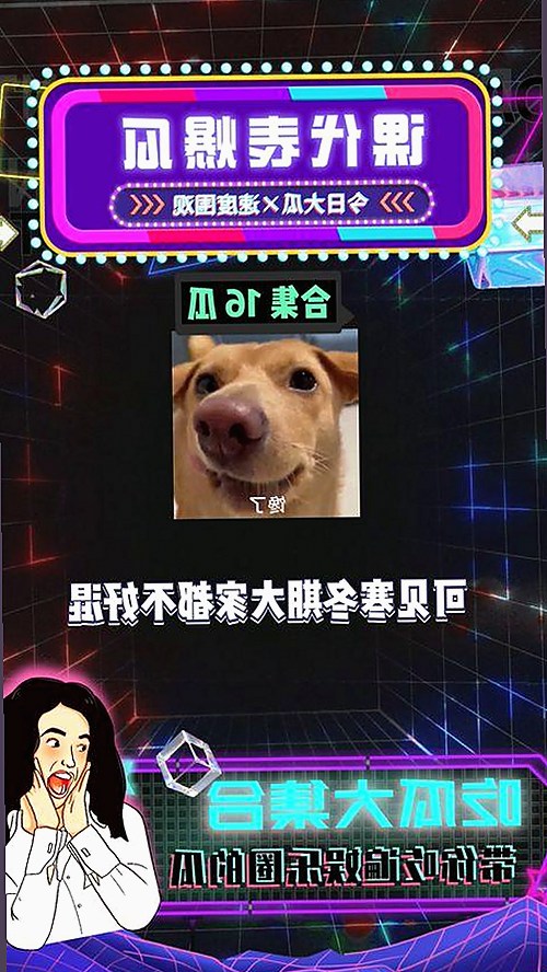 全面解析：www.199麻豆免费版：畅享高清资源的新选择