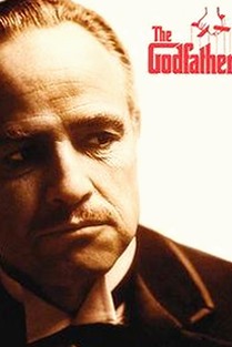 免费视频官方版：最新内容与行业动态分析