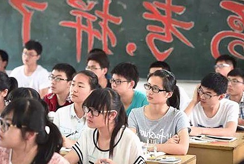 全面介绍擼擼社免费看黄 视频官方版的最新动态