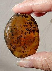 最新报告：www.91色😍萝网站免费官方版引领行业新风尚