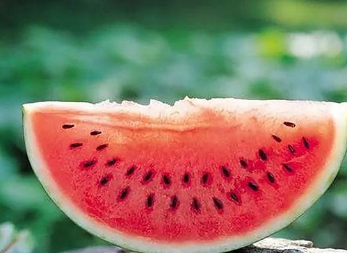 全面解析91n官方版：最新版本特色与相关资源介绍