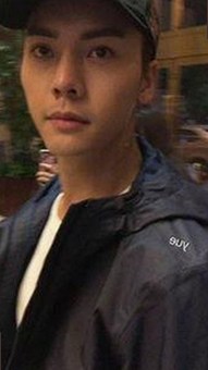 如何轻松获取鲁鲁影院电视剧免费观看最新章节免费版下载及相关资源解析