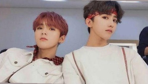 深入了解www.91色😍萝网站官方版下载免费版的最新动态