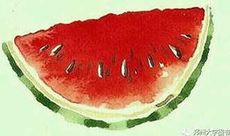 91漫画官方版：最新动态与丰富资源一览