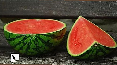 最新免费91最新版下载攻略，轻松畅享无限娱乐资源