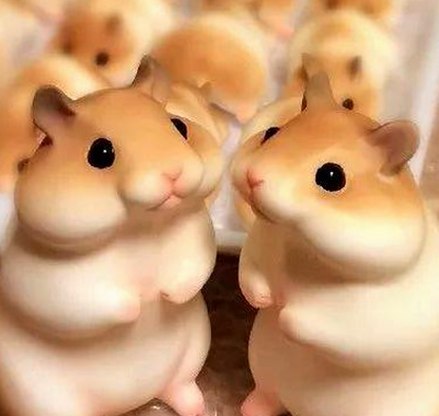 探索香蕉视频2026最新版，开启更多精彩娱乐体验