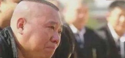 从吃瓜老板到行业风云：香蕉视频官方版的崛起与背后故事