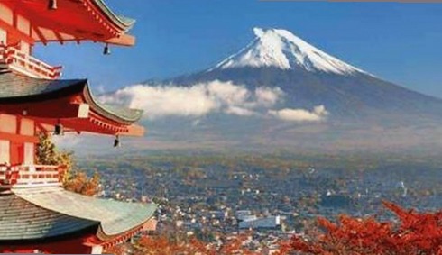 小🐔🐔伸进🈲🔞🔞官方版免费版：最新体验指南与资源分享