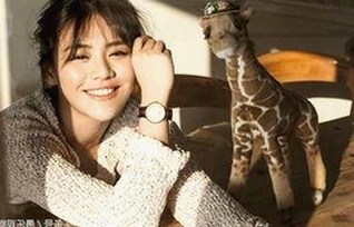 SP责打实践过程视频：探索真实与反差的动态呈现