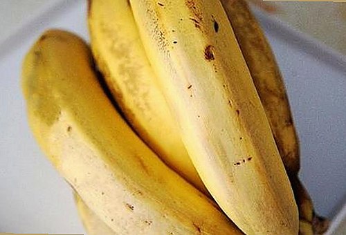 内线全集下载：了解最完整的影视资源和最新动态