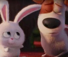 最新小黄书破解版下载绿色版曝光，淄博市成人网官方版引关注