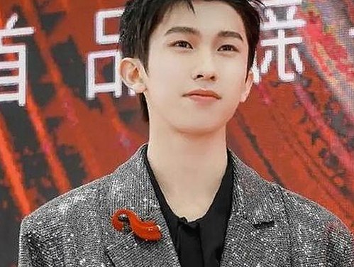 深入解析51黑料官方版免费版：娱乐圈背后的一面