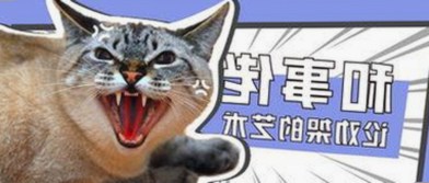 揭秘：如何安全获取啪啪啪视频免费版下载及相关资源