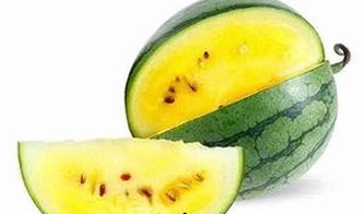 成人网免费版现已全面升级，提供丰富资源与便捷体验