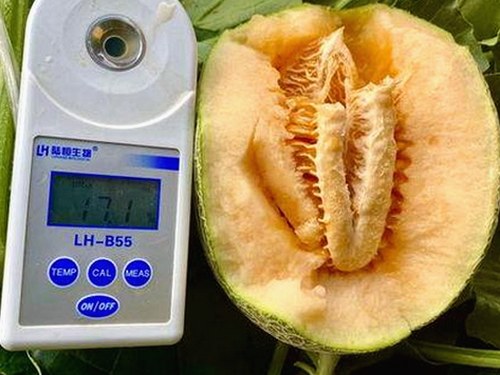 最新上线：17.c3起草安卓版全新体验与热门资源推荐