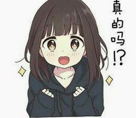 益阳市用户关注：黄页网站官方版下载最新指南