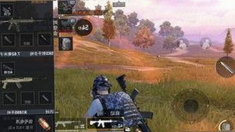 人or狗dna与猪ordna的配合与防治官方版：探究基础与应用的反差