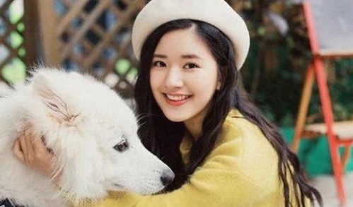 全面解析：91香蕉视频官方版下载免费版的最新动态与使用指南