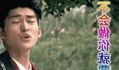 全面解析：91香蕉官方版下载与明星隐私信息的关系