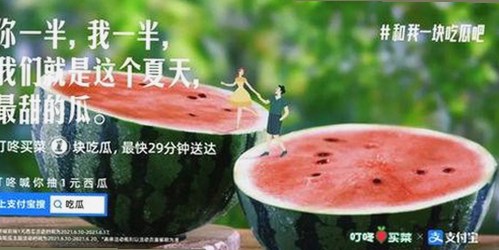 体验全新功能，91免费版官方版为用户带来极致体验