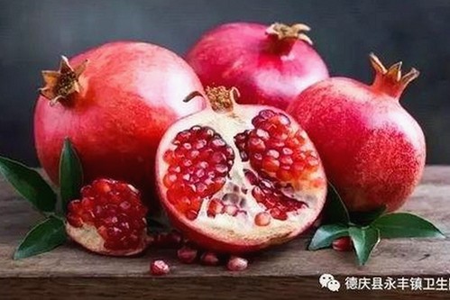 探索“91小视频官方版下载免费版”的多样内容与流行趋势