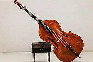 男🍌❌女🍑摸🐻水流是：从娱乐圈到日常的反差变化