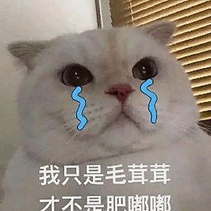 樱花视频安装包下载：多平台资源一站获取指南