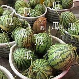 从香蕉视频到云浮市：娱乐内容的变迁与反差