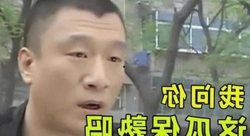 黄页网站官方版下载：获取最新资源和应用指南