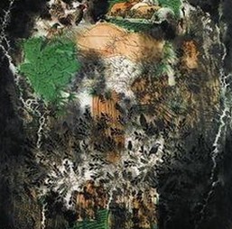 临沧市用户必看：日批视频官方版正版下载指南