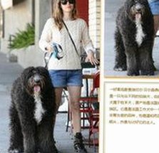 调色大片视频60分钟官方版正版下载：最新观看体验全面升级