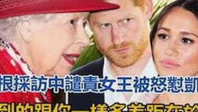 全面解析成人网最新版下载：安全、便捷的选择指南