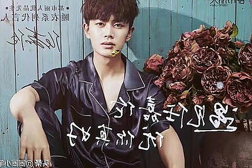 全面解析糖心vlgo官网免费版的最新动态与资源获取途径