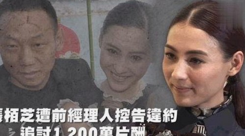 从幕后到前台：www.199麻豆免费版官方版的变化与新机遇