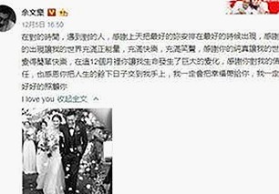 红桃视频官方版正版下载：探索娱乐圈最新动态与高清资源