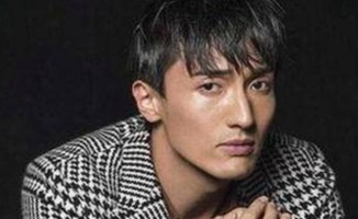 全面解析91免费官方版正版下载的最新动态与应用场景