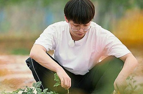 雅安市用户关注： 免费观看在线高清动漫的软件下载免费版揭秘