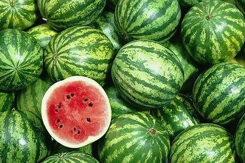 小🐔🐔伸进🈲🔞🔞官方版免费版现已上线，用户可以在多平台轻松体验最新内容