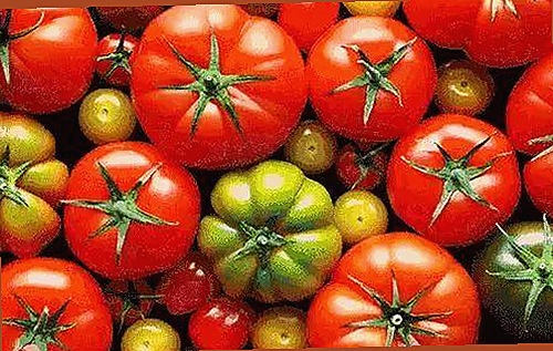 黄页网站最新版下载引领行业新风尚