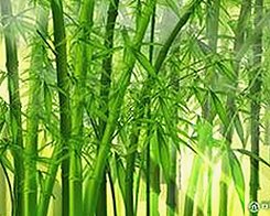 已满十八在线观看高清电视剧推荐官方版：明星幕后故事一网打尽