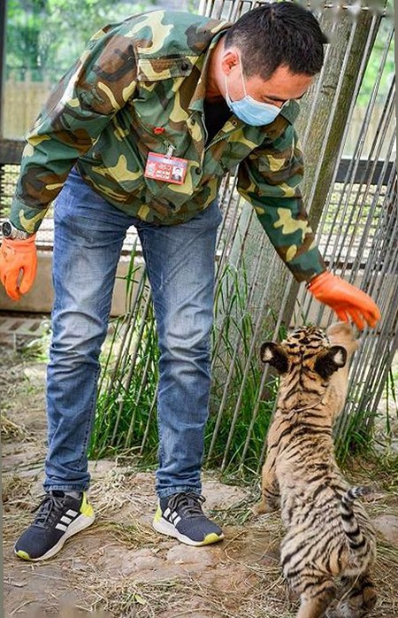 想要xx官方版：宝鸡市解读与相关资源推荐