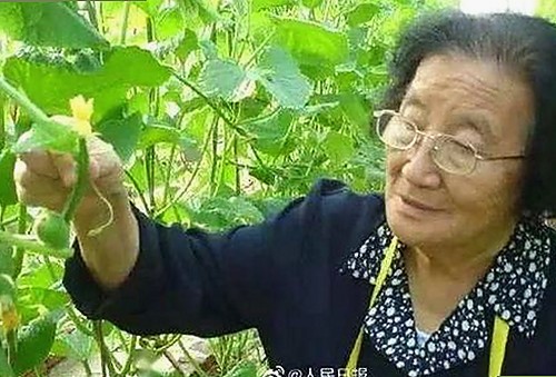 丫丫影院免费高清电视剧观看最新版下载助你畅享高品质视觉体验